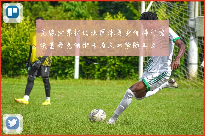 无缘世界杯的法国球员身价排行榜埃基蒂克领衔卡马文加紧随其后